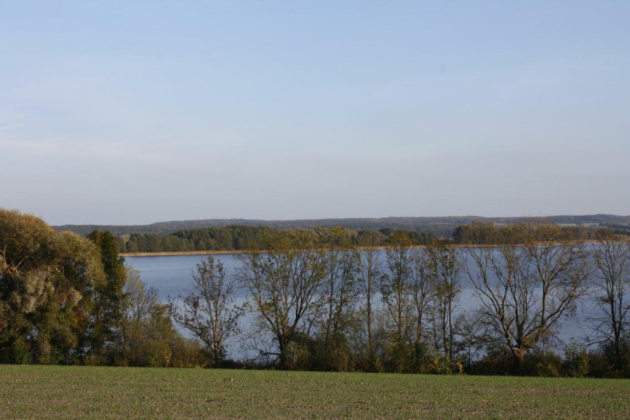 Landpension Zum Schweizerberg Neugrimnitz Buitenkant foto