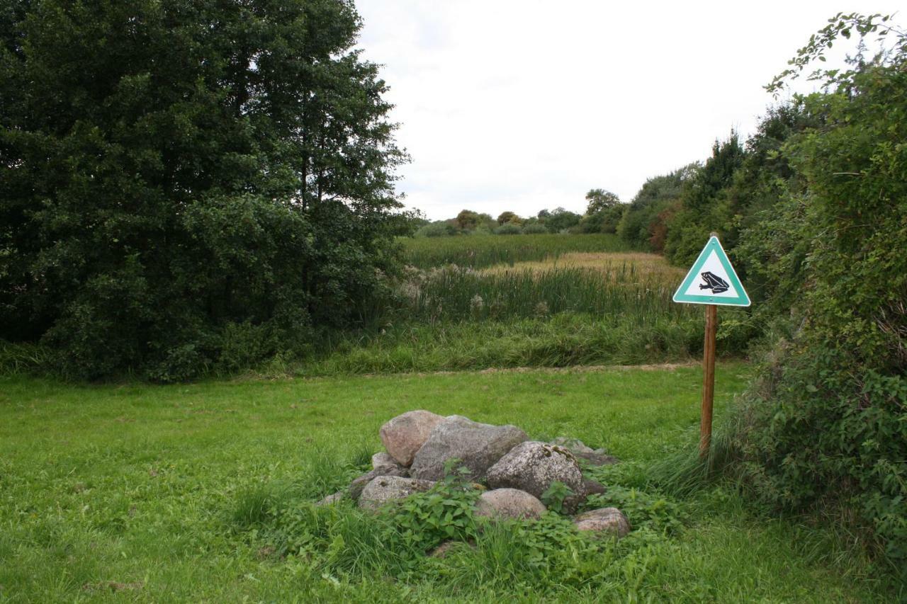 Landpension Zum Schweizerberg Neugrimnitz Buitenkant foto