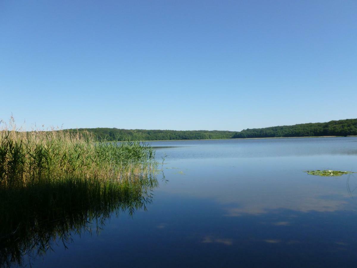 Landpension Zum Schweizerberg Neugrimnitz Buitenkant foto