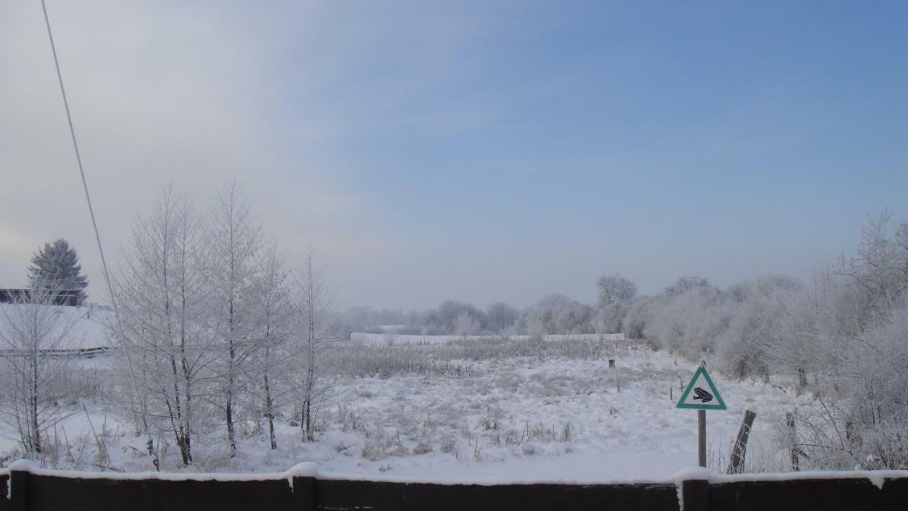 Landpension Zum Schweizerberg Neugrimnitz Buitenkant foto