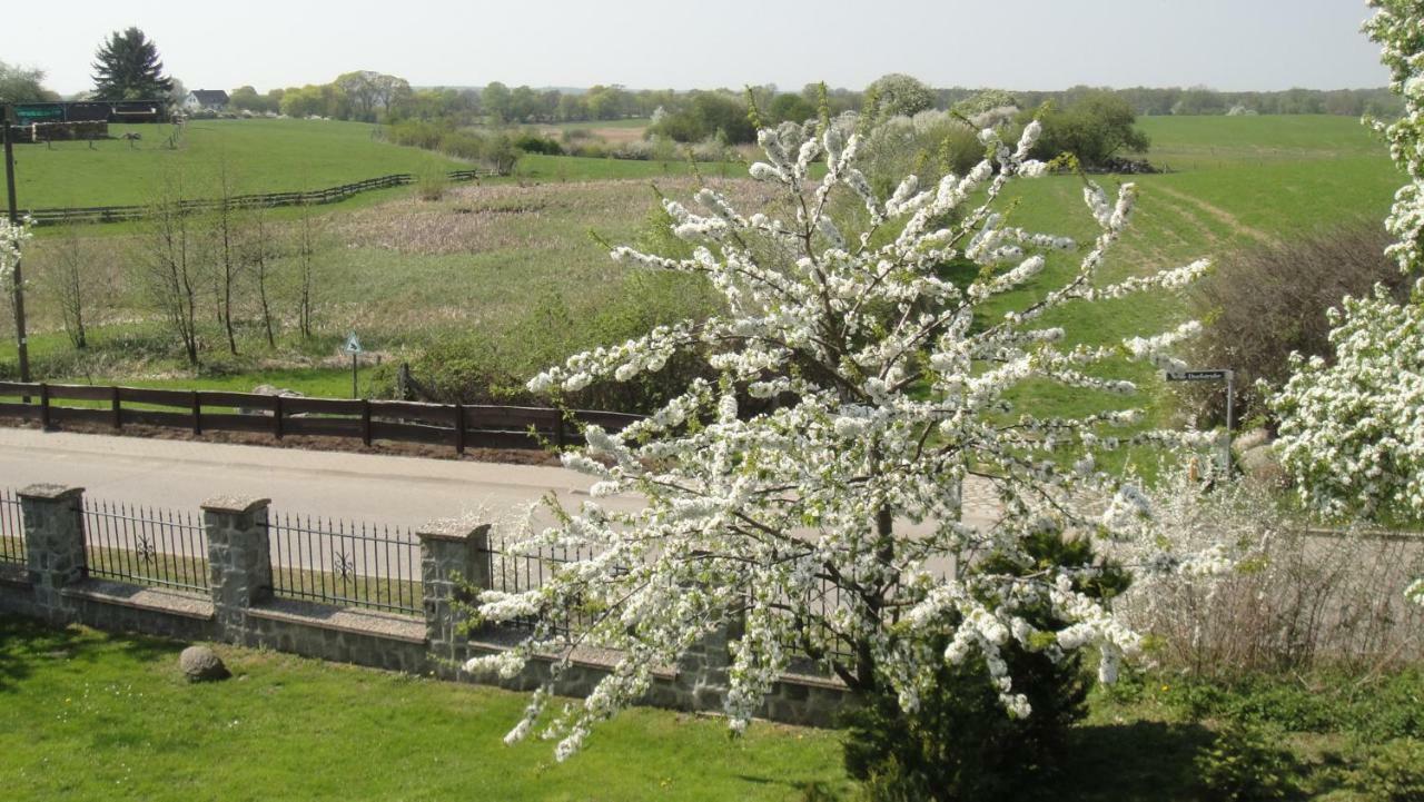 Landpension Zum Schweizerberg Neugrimnitz Buitenkant foto