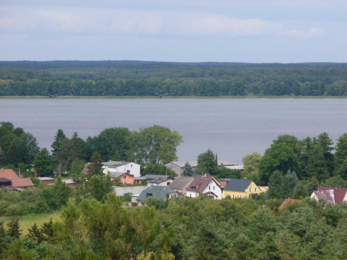 Landpension Zum Schweizerberg Neugrimnitz Buitenkant foto