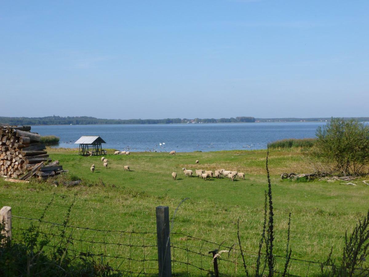 Landpension Zum Schweizerberg Neugrimnitz Buitenkant foto